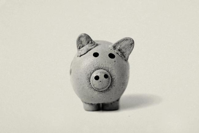 piggy bank