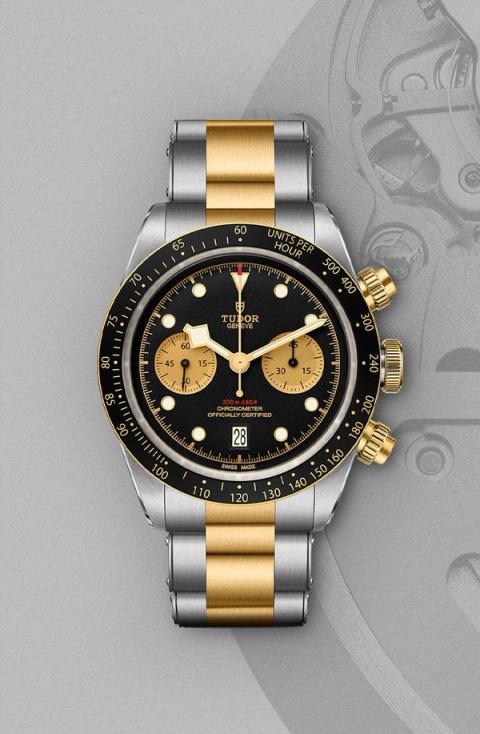 Tudor Black Bay S&G