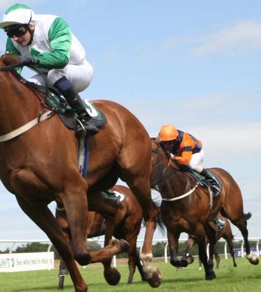 The horses to watch this racing season