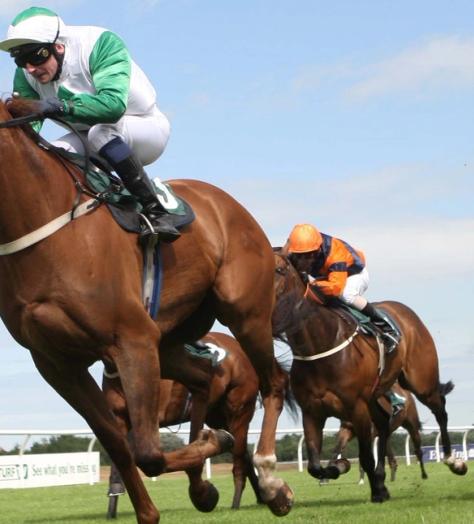 The horses to watch this racing season