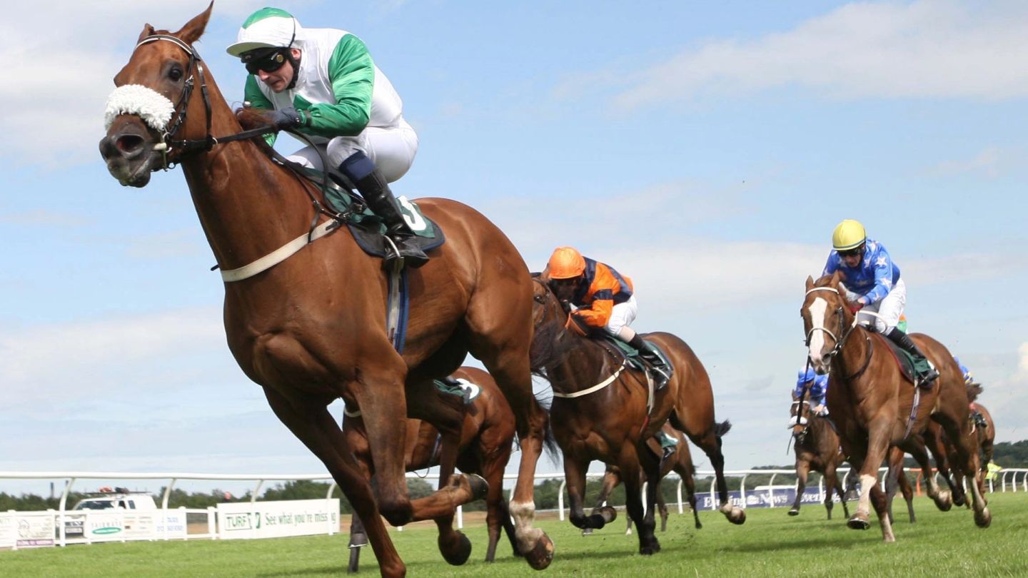 The horses to watch this racing season