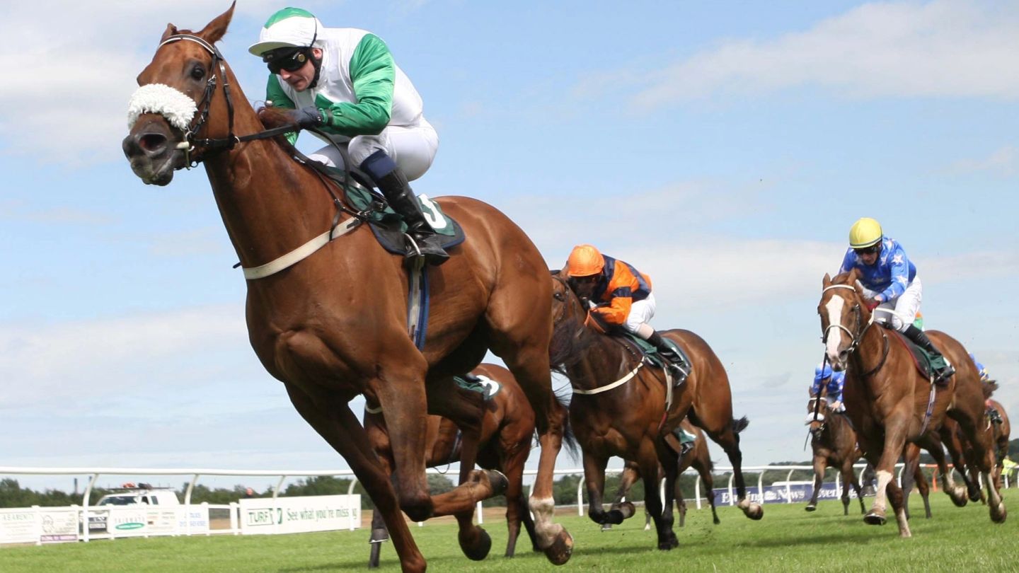 The horses to watch this racing season
