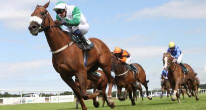 The horses to watch this racing season