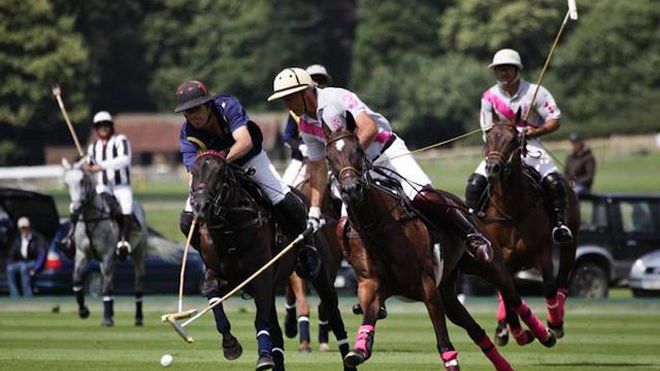 Where To Go – Veuve Clicquot Gold Cup