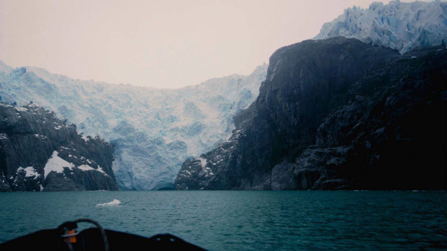 The Diary: An evening celebrating the Louis Roederer Photography Prize for Sustainability