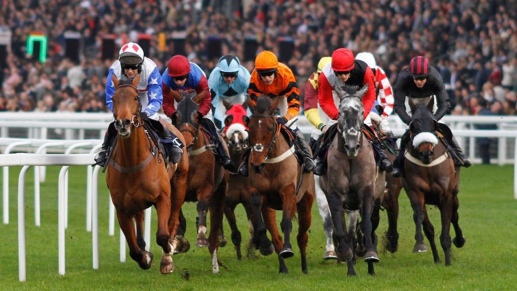 WIN: a pair of tickets to Ascot next week