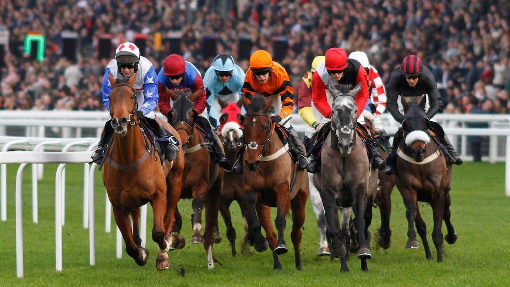WIN: a pair of tickets to Ascot next week