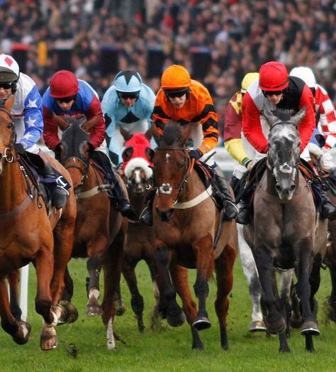 WIN: a pair of tickets to Ascot next week