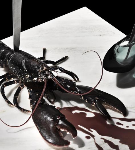 The Michelin star is dead (long live the Michelin star)