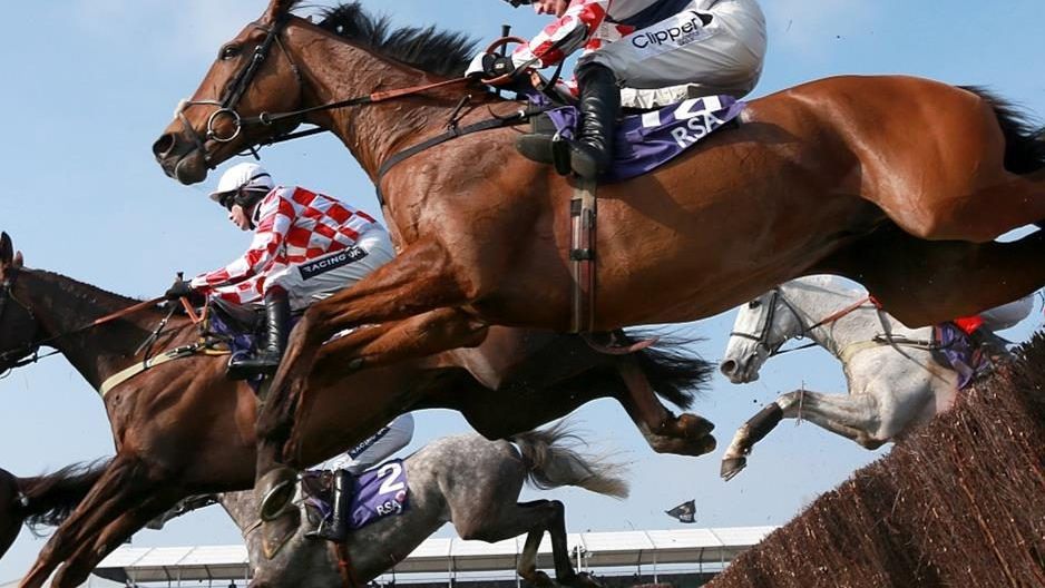 How to succeed at the Cheltenham Festival, according to a betting expert