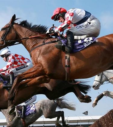 How to succeed at the Cheltenham Festival, according to a betting expert