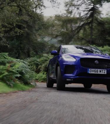 Gentleman’s Journal put Jaguar’s new Pet Pack to the test