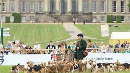 What’s On – The CLA GAME FAIR 2013