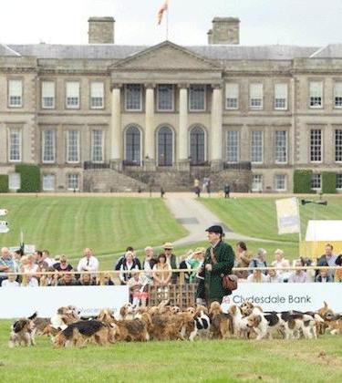 What’s On – The CLA GAME FAIR 2013