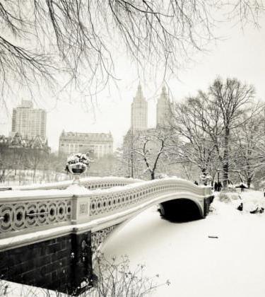 How to Survive the Snow In Style