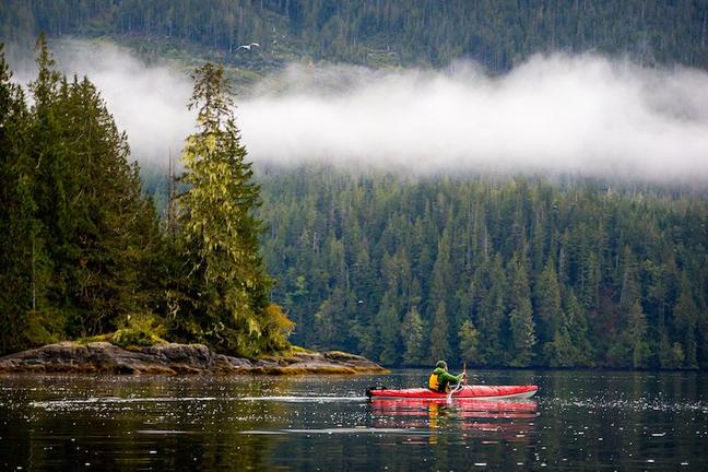 Kayaking the Great Bear Rainforest, BC - Callum Snape