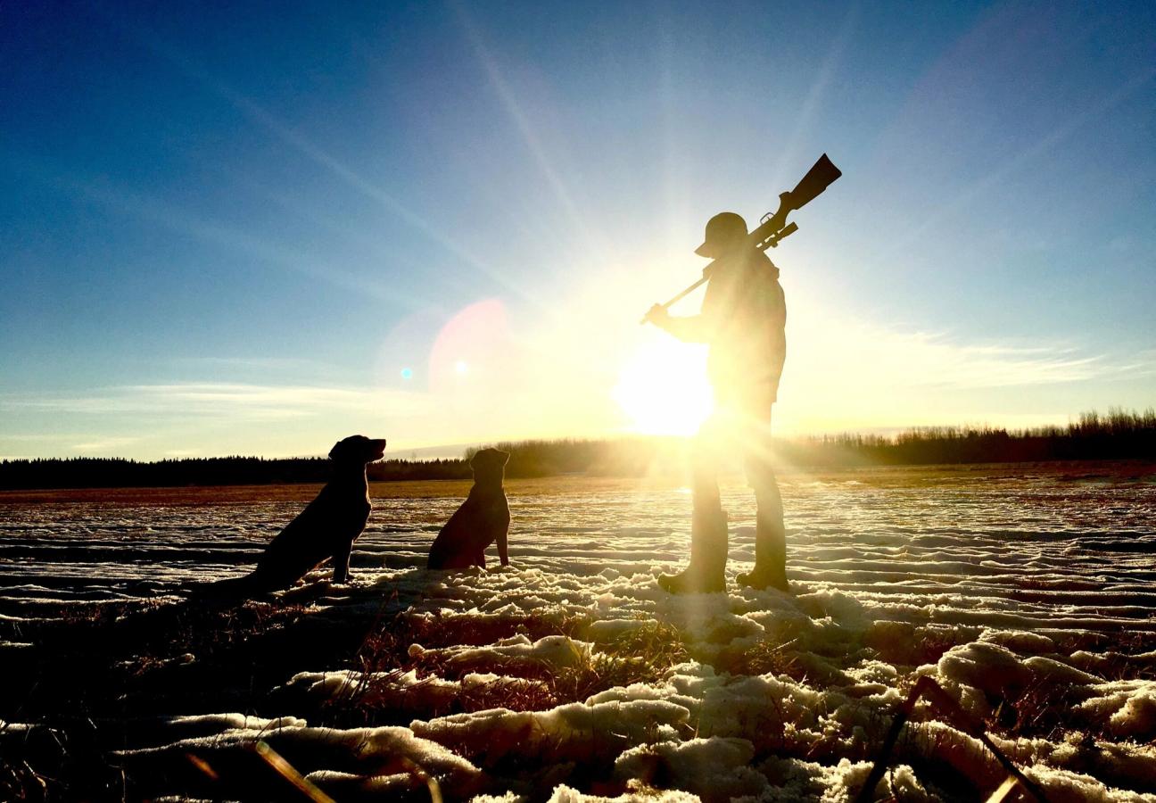 best shooting destinations uk