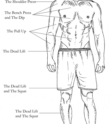 No one ever got big standing next to the weights.