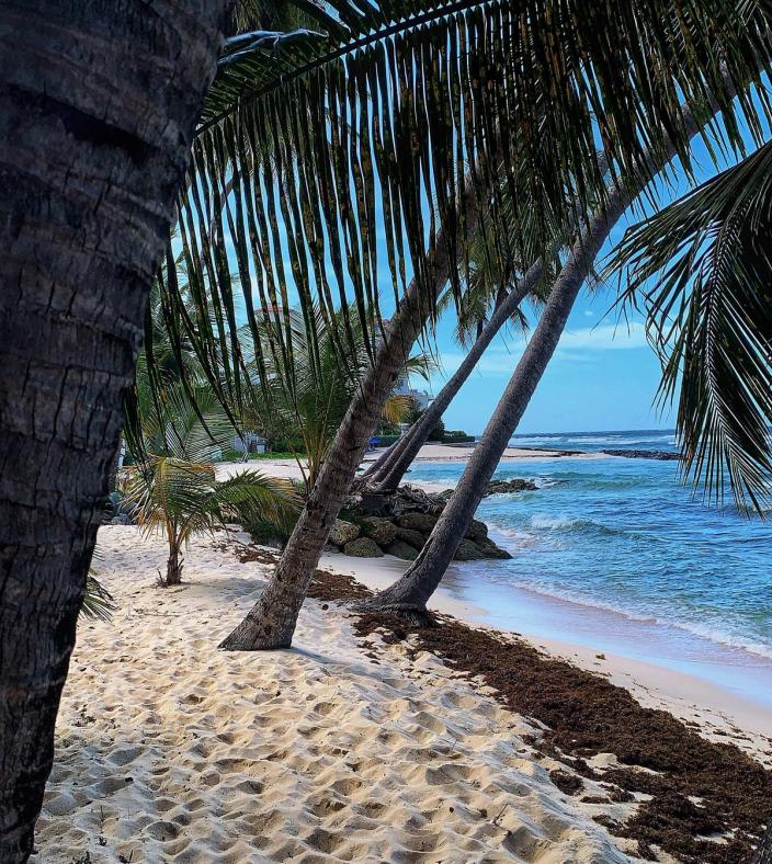 best safe travel destinations winter sun barbados