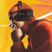 Bang & Olufsen Beoplay H95