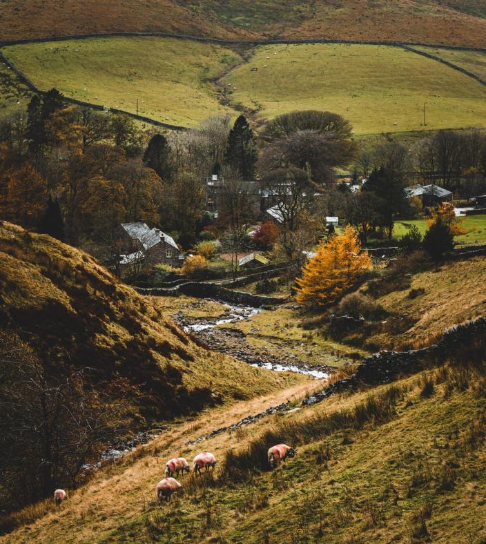 countryside
