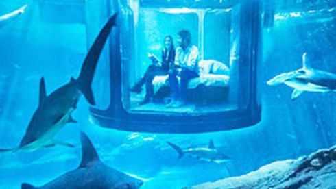 The suite that blows everything else out of the water