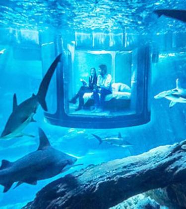 The suite that blows everything else out of the water
