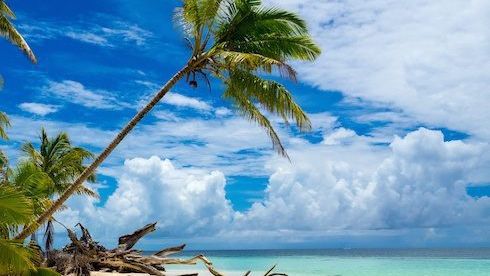 10 reasons you have to visit Alphonse in 2016