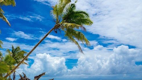 10 reasons you have to visit Alphonse in 2016