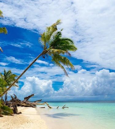10 reasons you have to visit Alphonse in 2016