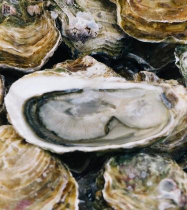 Forget lemon juice and tabasco, try these alternative ways to eat oysters