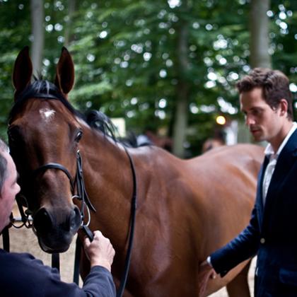 Training A Racehorse – Interview and Portrait