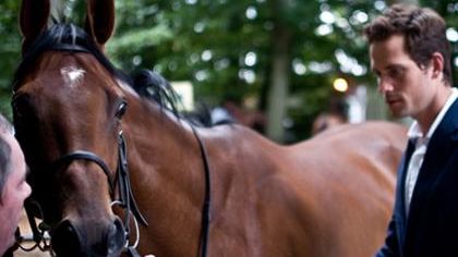 Training A Racehorse – Interview and Portrait