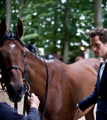 Training A Racehorse – Interview and Portrait