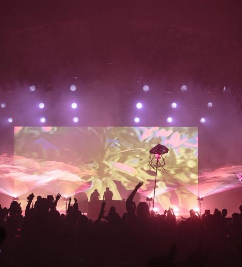 Wilderness 2025: Discover what's new this year