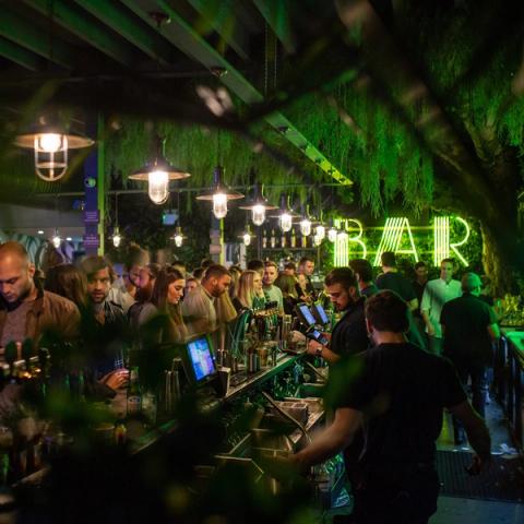 Pergola Olympia