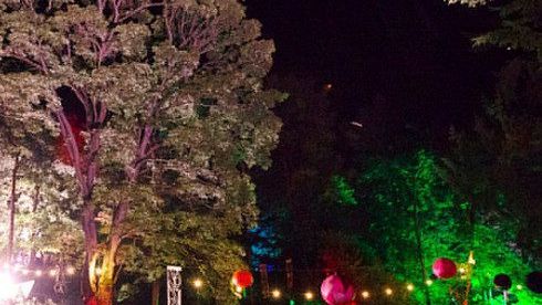 Preview: Wilderness Festival