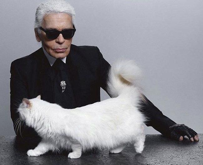 What Your pet Says About You - TGJ