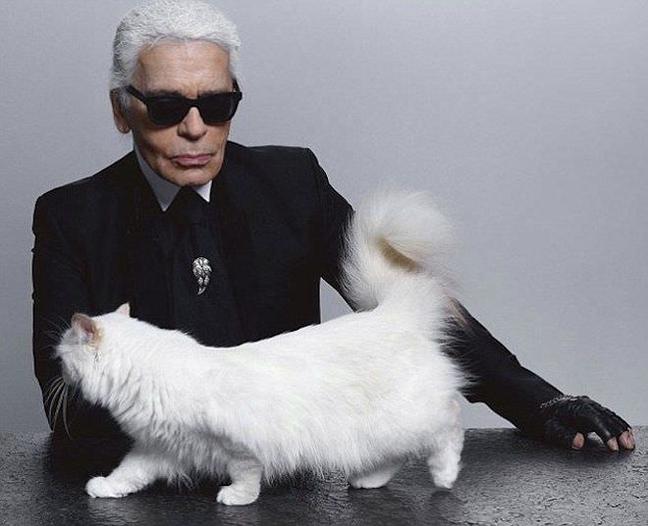 What Your pet Says About You - TGJ