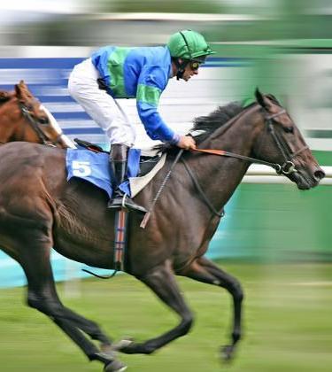 The Horse Racing Calendar for 2014 – 4 of the best fixtures you don’t want to miss