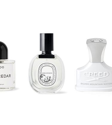 5 timeless fragrances for men