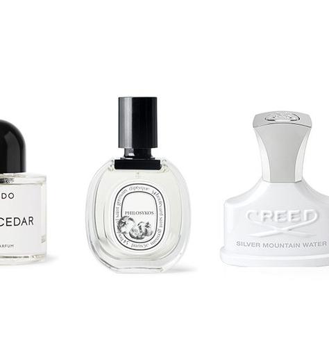 5 timeless fragrances for men