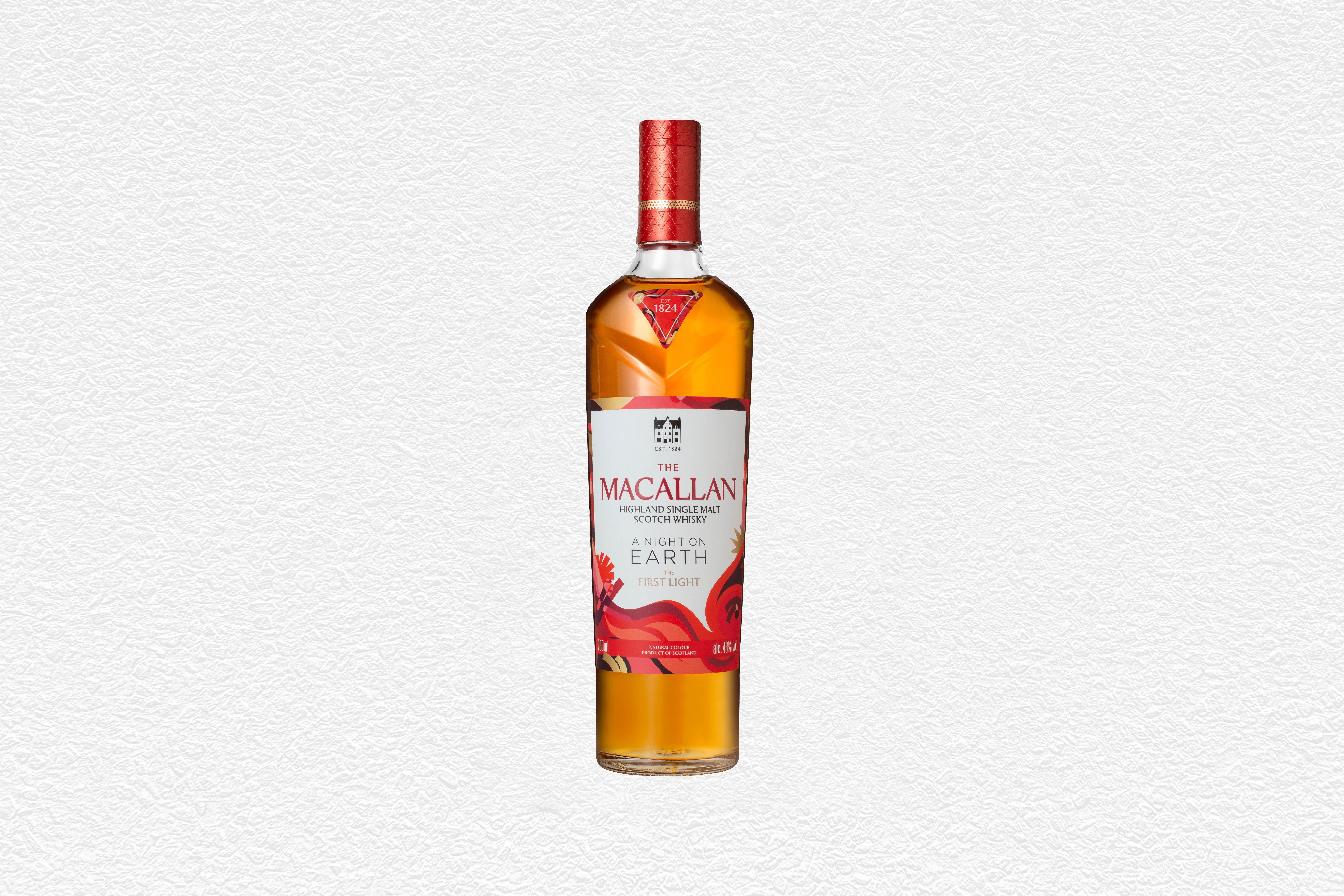 A Night on Earth: The First Light