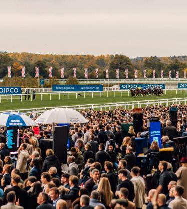 Racegoers gathered at Ascot on British Champions Day