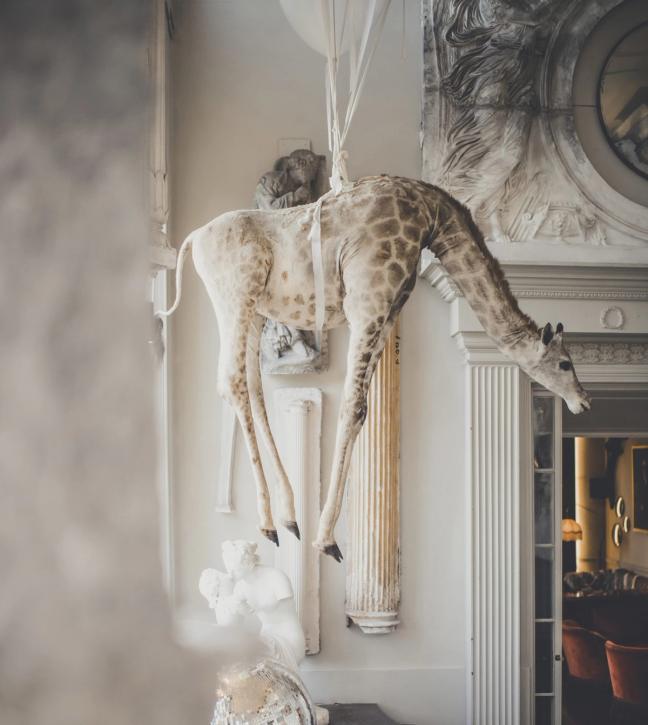 aston martin bicester village