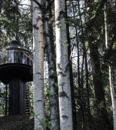Inside the luxury treehouse that Polestar brought to the Finnish forest