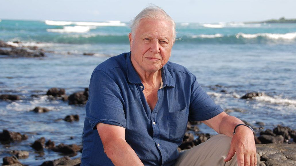 David Attenborough announces sequel to ‘Blue Planet’