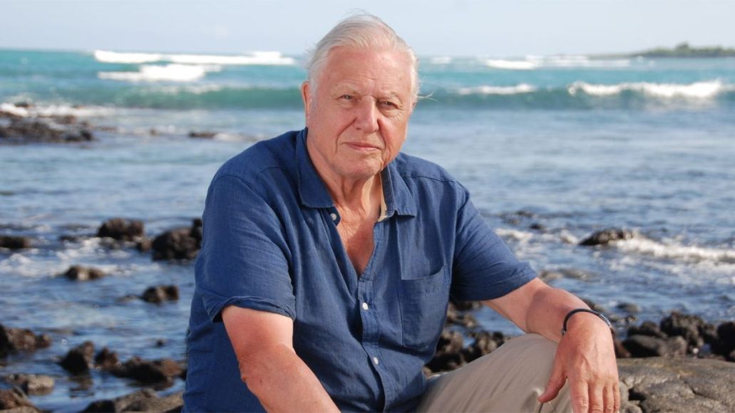 David Attenborough announces sequel to ‘Blue Planet’