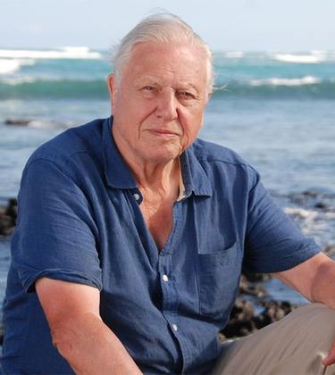 David Attenborough announces sequel to ‘Blue Planet’