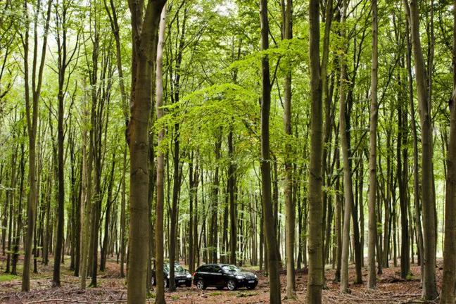 goodwood review - TGJ.06